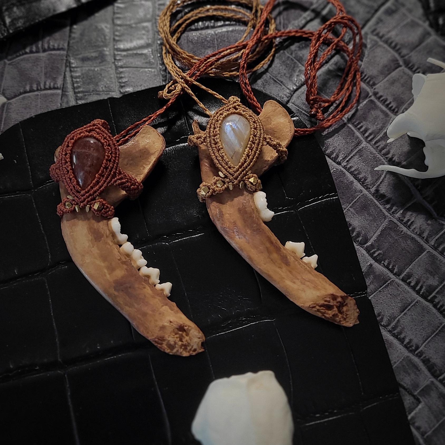 Knochen Kette Mit Unterkiefer Und Sonnenstein Edelstein von MedusaMacrame