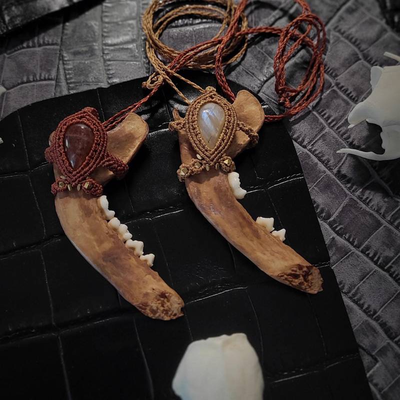 Knochen Kette Mit Unterkiefer Und Sonnenstein Edelstein von MedusaMacrame
