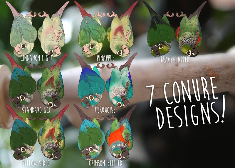 Baumelnder Conure Buddy Acryl Anhänger - Pyhurra von Meekor