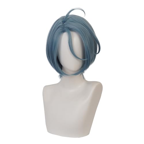 Anime games Ensemble Stars HIMERU Character wig Grey blue hair men's short wig Halloween,Christmas,Comic Con cross dressing used Attached wig cap von Meguru