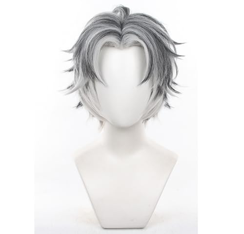 Schwarze gemischte Sliver kurze Haare Cosplay Perücke Männer Kostüm Haarersatz Perücken für Erwachsene Cos Anime Spiel Party Halloween Weihnachten Comic von Meguru