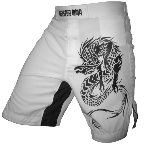 Meister MMA Dragon Hybrid Flex Boardshorts von Meister