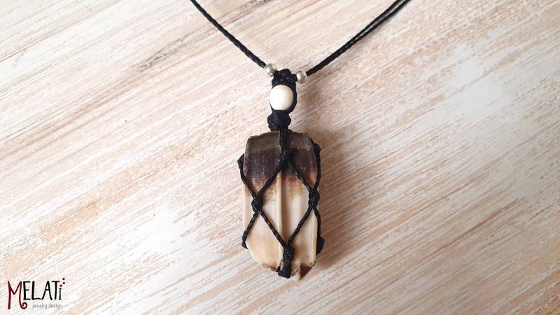 Zahnkette, Tierkette, Gothic Kette, Punk Kette Mit Echtem Zahn, Toerzahn An Macramee Tierzahn Halskette von MelatiJewelryDesign