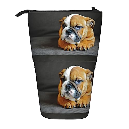 Melbrakin Bleistifttasche mit englischer Bulldogge, kniend, mit Reißverschluss, für Damen, Herren, Jungen und Mädchen von Melbrakin