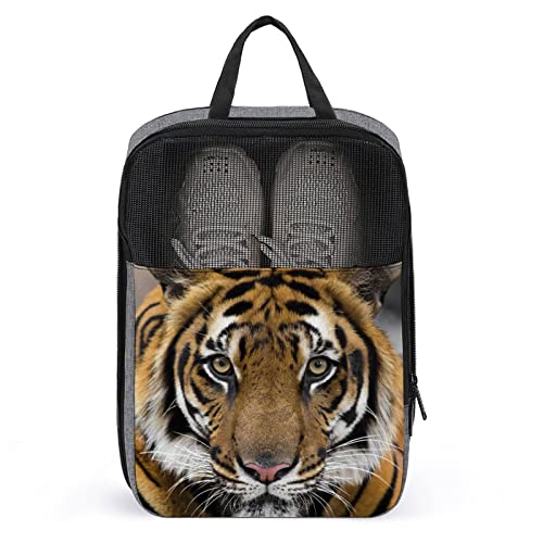 Niedliche Reise-Schuhtasche, Tigermuster, wasserdicht, atmungsaktiv, tragbar, Reise-Schuhtasche mit Reißverschluss, Reise-Schuh-Organizer, Tasche, Schuhe, Aufbewahrungstasche für Männer, Frauen, Fitn Niedliche Reise-Schuhtasche, Tigermuster, wasserdicht, atmungsaktiv, tragbar, Reise-Schuhtasche mit Reißverschluss, Reise-Schuh-Organizer, Tasche, Schuhe, Aufbewahrungstasche für Männer, Frauen, Fitn von Melbrakin