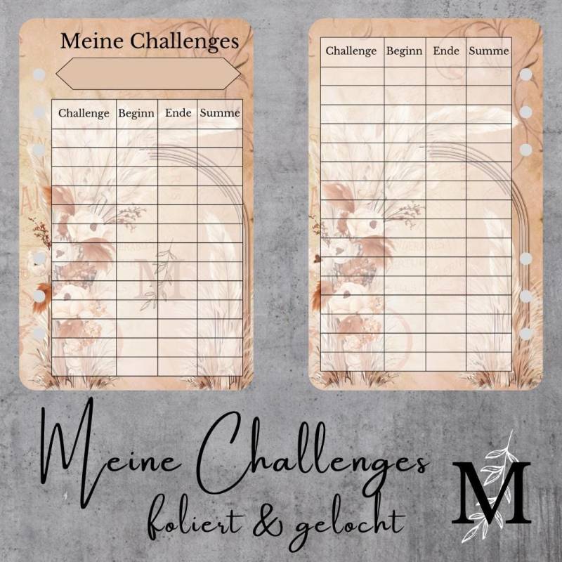 Meine Challenges Meine Challenges von Melenore