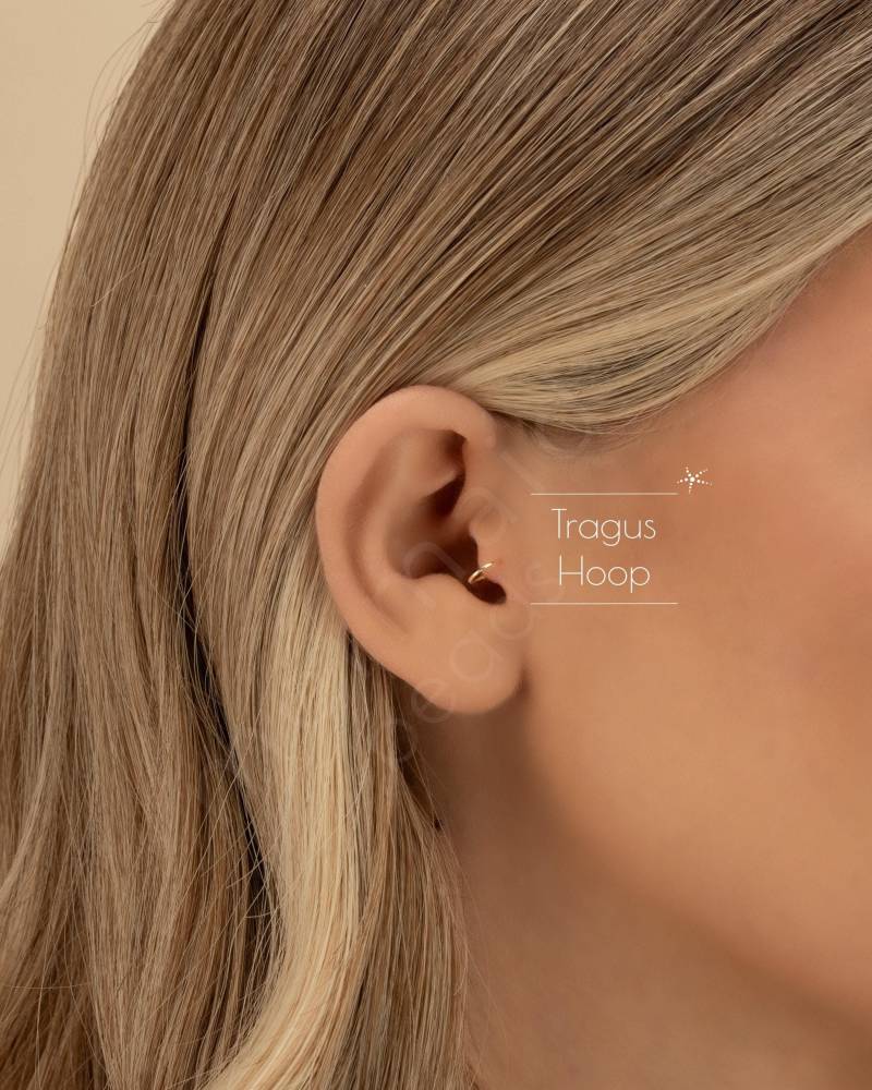 Tragus Hoop Tragus Ohrring Twist Creolen Gold Rosegold Sterling Silber Zierliche Ohrringe 22G 20G 18G Pish2Ai von MermaidBeadsJewelry