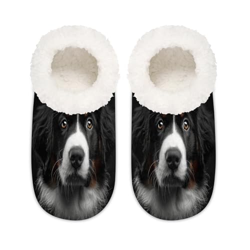 Berner Sennenhund Hausschuhe für Damen und Herren, Tiermuster, Memory-Schaum, Hausschuhe, Hausschuhe, Socken, multi, 6/6.5 UK Wide von Mexpekil