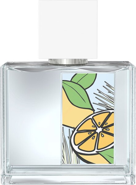 Mexx Whenever Wherever Eau de Toilette (EdT) Men 30 ml von Mexx