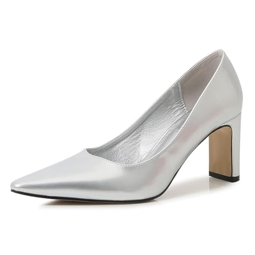 Damen Pumps Mit Blockabsatz Niedriger Ausschnitt Spitze Zehe Arbeits Und Kleiderschuhe Für Büro Alltag Hochzeit Und Party Bequeme Schuhe Weite Größen Erhältlich,Silber,40 EU von MiaZane