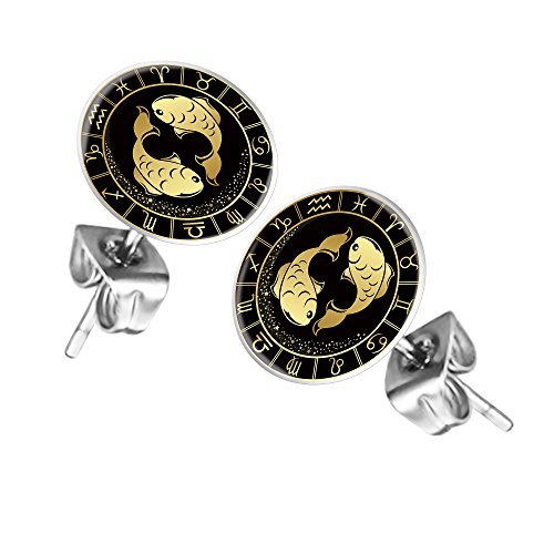 Mianova Ohrstecker Ohrringe Stecker Platte mit Sternzeichen Motiv Tierkreiszeichen Silber für Damen Herren oder Kinder Fische von Mianova