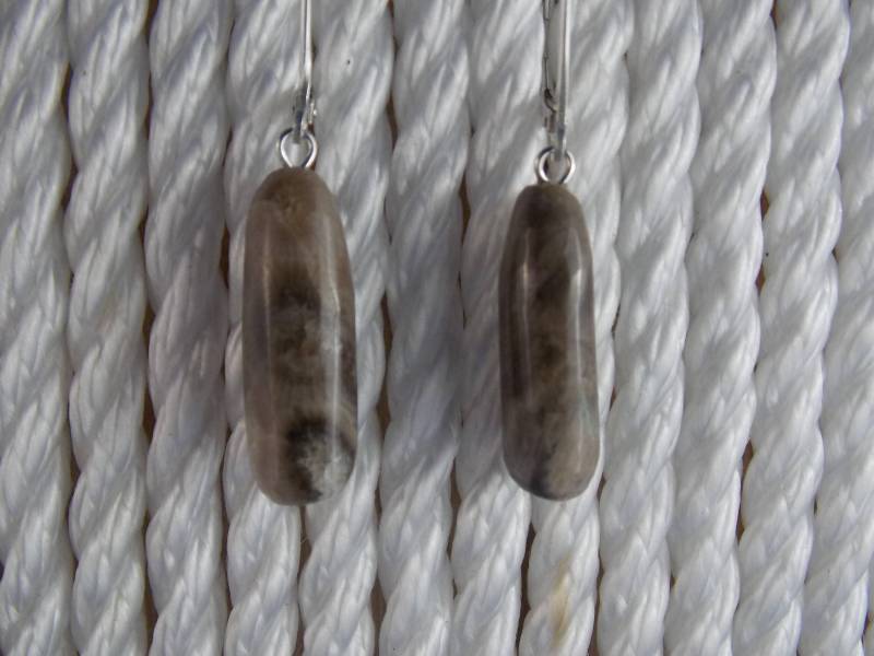 Ep#153 Petoskey Stone Ohrhänger Mit Sterlingsilber Klappbrisuren von MichiganStones