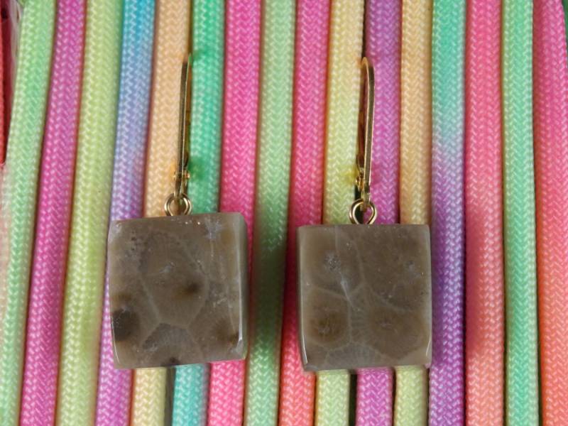 Ep#212 Ohrringe Petoskey Stein An Gelbvergoldeter Klappbrisur Ep#212 Ohrringe Petoskey Stein An Gelbvergoldeter Klappbrisur von MichiganStones