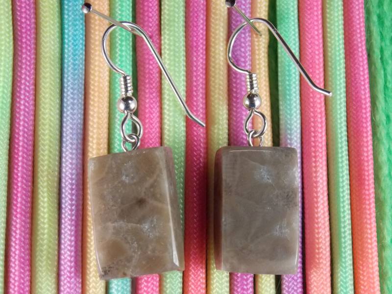 Ep#213 Petoskey Stone Ohrhänger Mit Hebelhaken Aus Sterlingsilber von MichiganStones