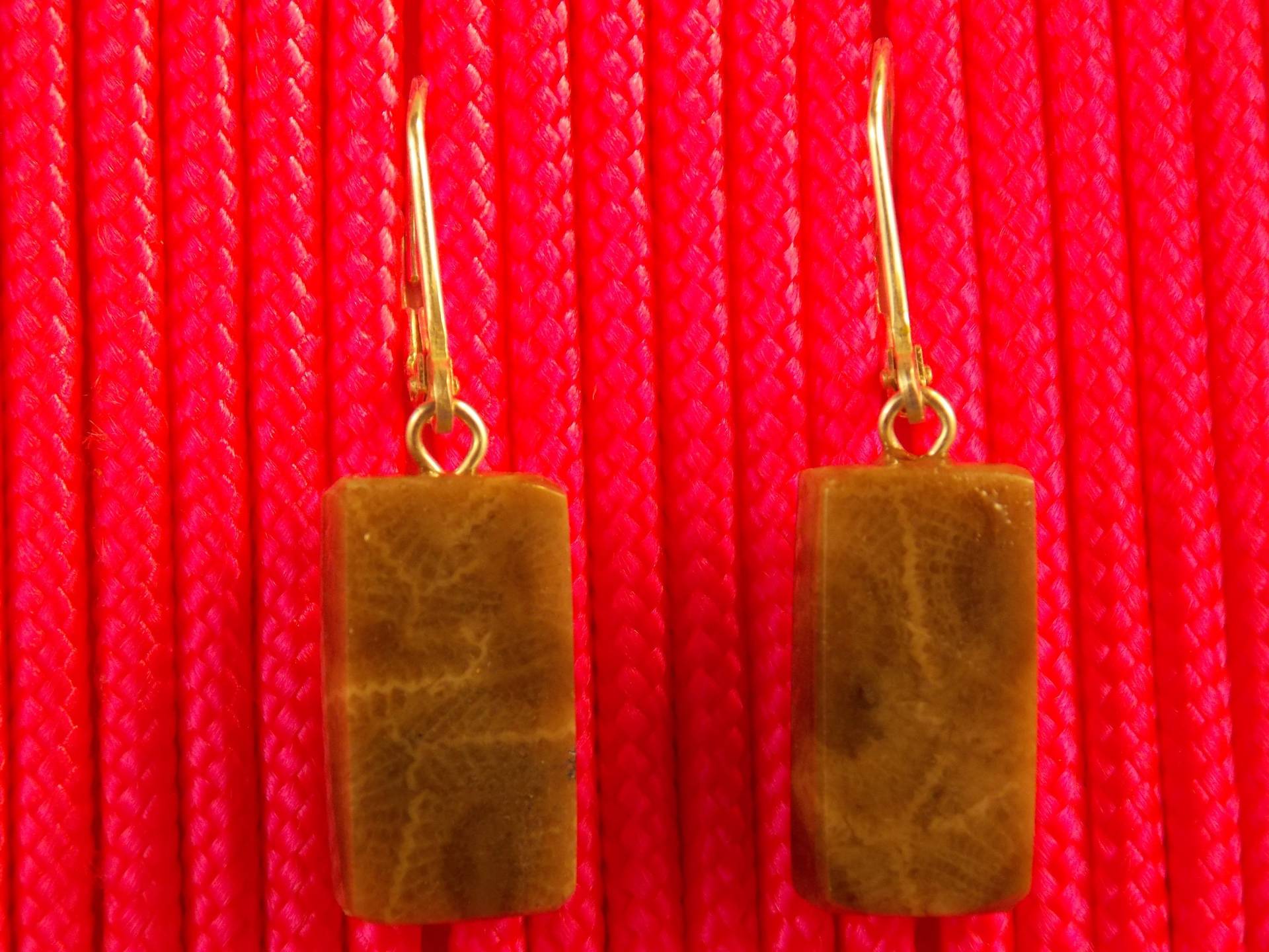 Ep#234 Petoskey Stone Ohrhänger Mit Sterlingsilber Klappbrisuren Ep#234 Petoskey Stone Ohrhänger Mit Sterlingsilber Klappbrisuren von MichiganStones