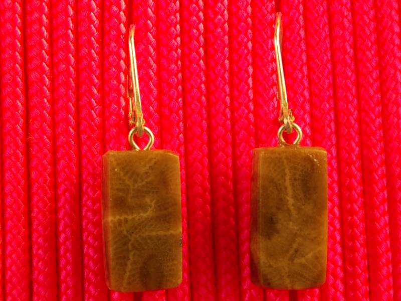 Ep#234 Petoskey Stone Ohrhänger Mit Sterlingsilber Klappbrisuren Ep#234 Petoskey Stone Ohrhänger Mit Sterlingsilber Klappbrisuren von MichiganStones