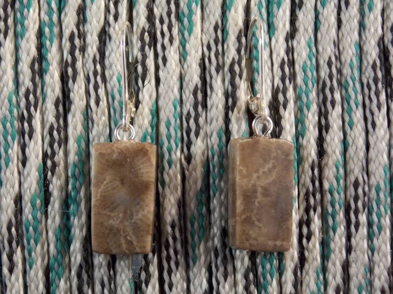 Ep#235 Petoskey Stone Ohrhänger Mit Sterlingsilber Klappbrisuren von MichiganStones