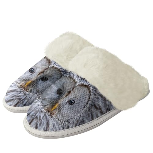 Micoklinlin Niedliche Eule Hausschuhe für Damen Herren Plüsch Fuzzy Gefüttert Hausschuhe Flanell Gäste Hausschuhe Herbst Winter flauschigen Plüsch Warmen Indoor Schuhe von Micoklinlin