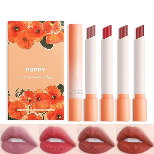 Matte Lipstick Set - 4 Lippenstifte, Roter Lippenstift, Lang anhaltend, hochpigmentierte Samttextur, kussechter Lippenstift für Frauen (0,8 g x 4, Oranger Lippenstift #A) von Micozy