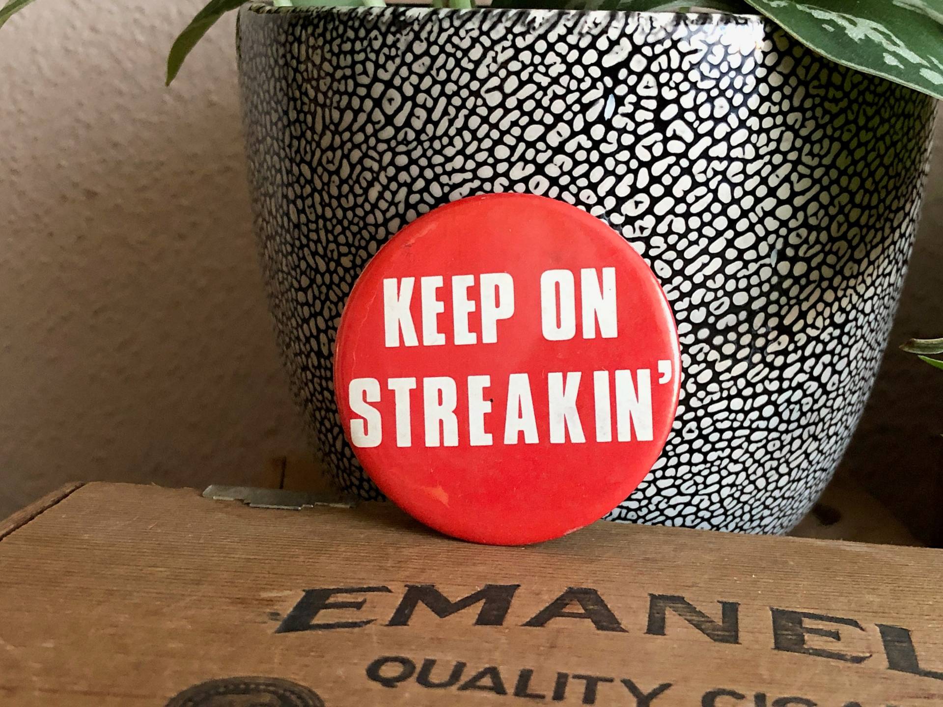 Halten Sie Auf Streakin' Button Big White Metal Abzeichen Pinback Vintage Distressed Halten Sie Auf Streakin' Button Big White Metal Abzeichen Pinback Vintage Distressed von MidwestVintageShop