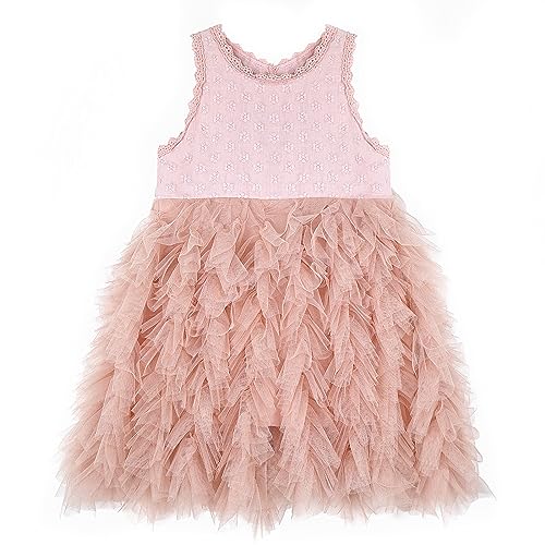 Miipat Baby Girls Kleid Tüll Ärmellose Kleinkind Mädchen Prinzessin Kleider Rüschen Tutu Stickerei Festliches Geburtstags Blumenmädchenkleider Rosa 100 2-3 Jahre von Miipat