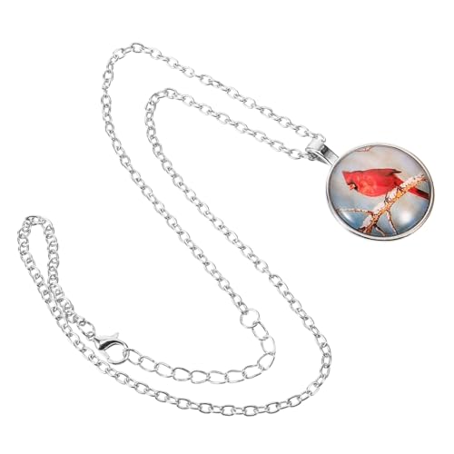 Mikikit Retro Cardinal Halskette für Damen Feiner Legierungsanhänger Zarte Vogel Schmuckkette Pulloverkette Elegantes für Familie und Freunde Mikikit Retro Cardinal Halskette für Damen Feiner Legierungsanhänger Zarte Vogel Schmuckkette Pulloverkette Elegantes für Familie und Freunde von Mikikit