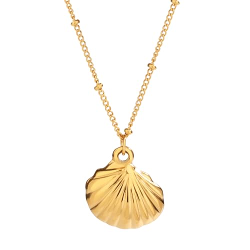 Mikovivi Goldene Muschelkette für Frauen, Stylisch Halskette mit Muschelanhänger Gold Muschelkette Muschel Halskette Ozeanschmuck für Frauen Weiblich Geschenke Mikovivi Goldene Muschelkette für Frauen, Stylisch Halskette mit Muschelanhänger Gold Muschelkette Muschel Halskette Ozeanschmuck für Frauen Weiblich Geschenke von Mikovivi