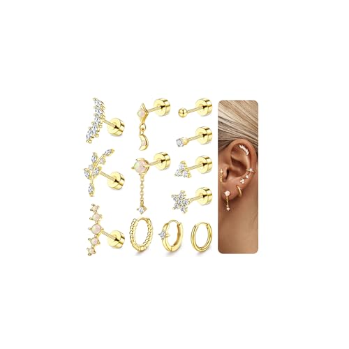 MILACOLATO 12Pcs Helix Piercings Chirurgenstahl Ohrringe Piercing Ohr Gold Silber Flatback Ohrstecker Klein Knorpel Ohrringe Creolen Gold Hypoallergen Rook Tragus Conch Helix Piercing Für Damen-BG MILACOLATO 12Pcs Helix Piercings Chirurgenstahl Ohrringe Piercing Ohr Gold Silber Flatback Ohrstecker Klein Knorpel Ohrringe Creolen Gold Hypoallergen Rook Tragus Conch Helix Piercing Für Damen-BG von Milacolato