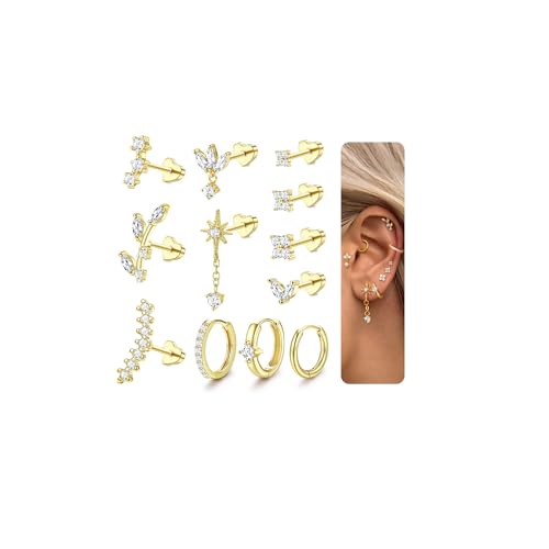 MILACOLATO 12Pcs Helix Piercings Chirurgenstahl Ohrringe Gold Piercing Ohrstecker Set Tragus Piercing Silber Hypoallergen Rook Daith Conch Knorpel Ohrpiercing Helix Piercings Ohr Schmuck für Damenhg von Milacolato