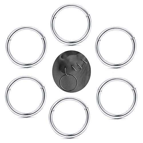 MILACOLATO 6-8 Pcs 18G Nasenpiercing Ring Edelstahl Clicker Segment Nase Piercing Ohrringe Damen Für Männer Frauen Septum Ohr Knorpel Daith Conch Tragus Sleeper Nasenring Set 6-12MM von Milacolato