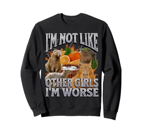 Nicht wie andere Mädchen Lustige Capybara-Meme-Bootleg Y2K-Grafik Sweatshirt von MildlyPerturbed