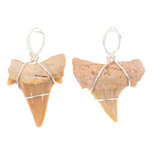 Milisten 2 Stück Haifischzahn Anhänger für Herren Verstellbare Halskette für Schmuckherstellung Charm Pendants für Outdoor Aktivitäten Geschenkidee für Besondere Anlässe Milisten 2 Stück Haifischzahn Anhänger für Herren Verstellbare Halskette für Schmuckherstellung Charm Pendants für Outdoor Aktivitäten Geschenkidee für Besondere Anlässe von Milisten