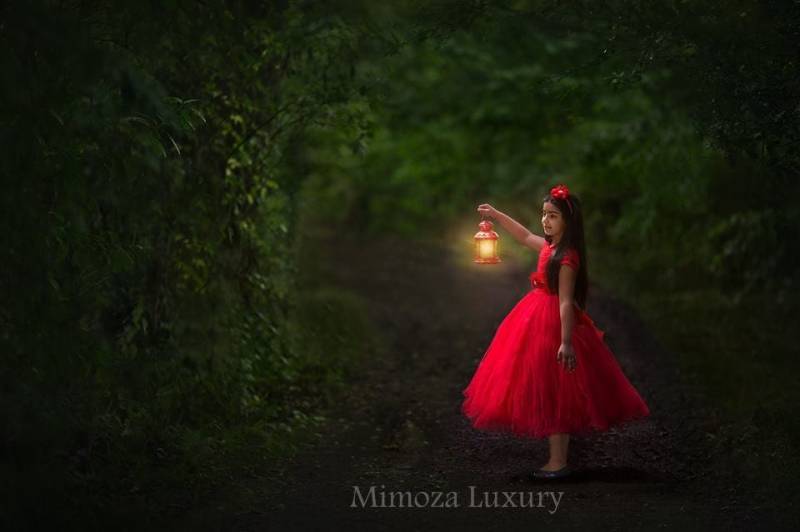 Rote Blumenmädchen Kleid, Rote Tutu Brautjungfer Prinzessin Häkeln Oben Tüll Hand Stricken Kleid in Rot von MimozaLuxury