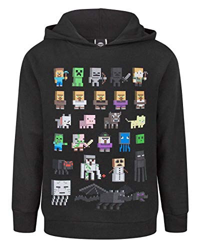 Minecraft Kapuzenpullover Boys Sprites Gamer Gifts Schwarz Langarm Jumper 5-6 Jahre von Minecraft