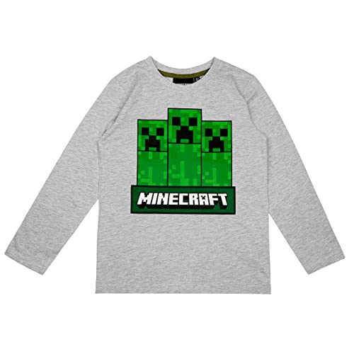 Minecraft Langarmshirt in verschiedenen Designs (Grau, 128) von Minecraft
