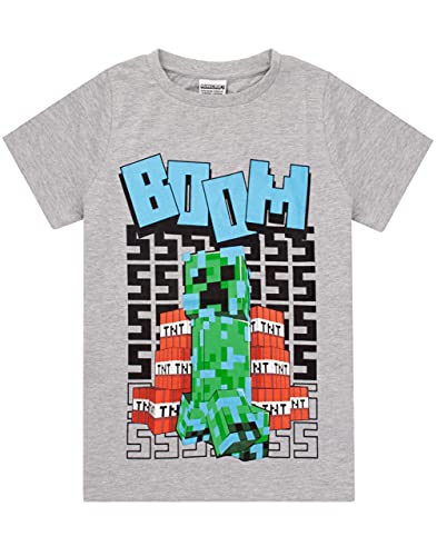 Minecraft T-Shirt Jungen aufgeladene Kriechpflanze Kurzarm Graue Top-Ware 13-14 Jahre von Minecraft