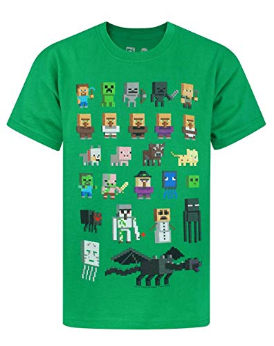 Minecraft T-Shirt für Jungen Sprites Kurzarm Kinder Top 12-13 Jahre von Minecraft