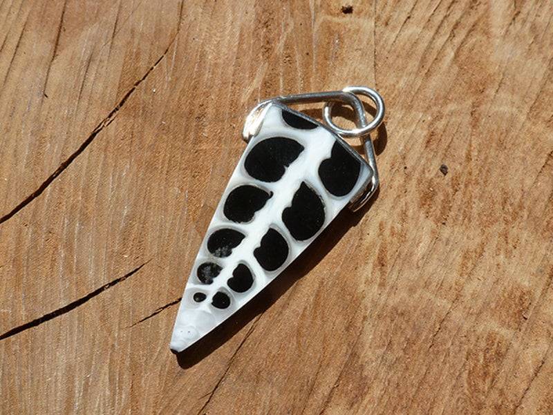 Shell Und Sterling Silver Point Pendant Shell Und Sterling Silver Point Pendant von Mineraliaboutique
