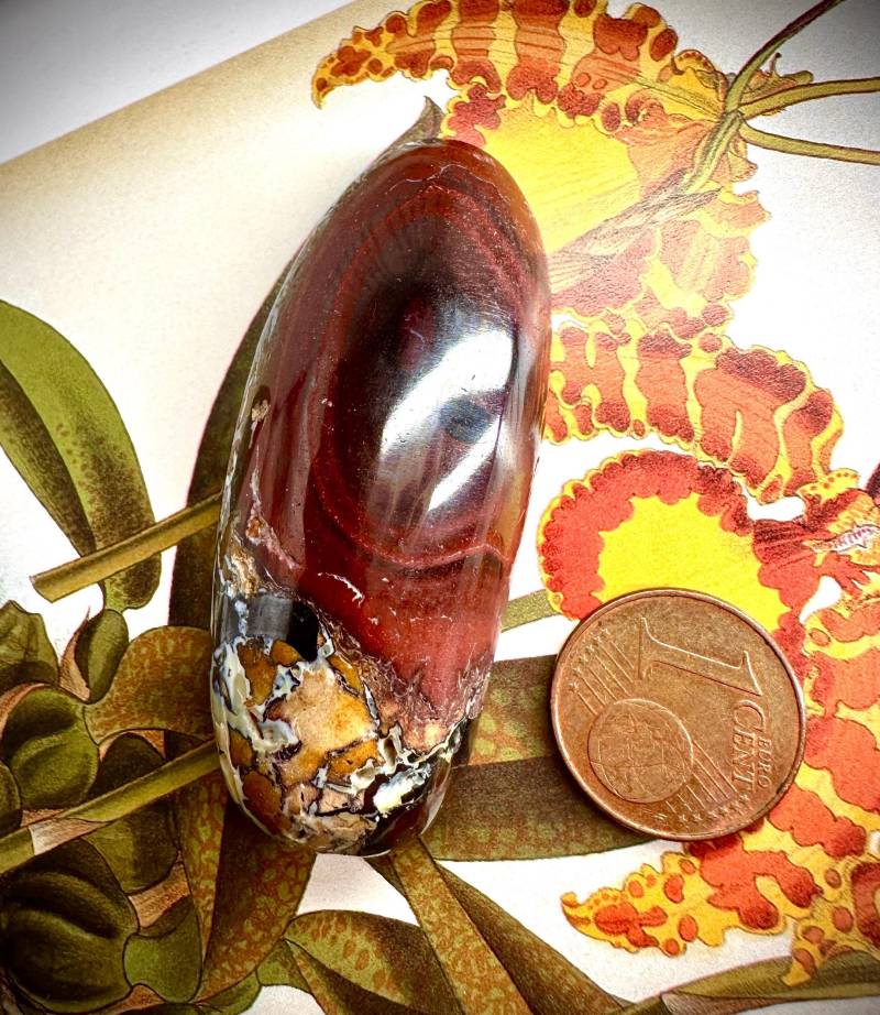 Boulder Opal Aus Australien/Edelstein Schmuckstein Für Ring Kette Armband Armreif Schmuck Mineralien Heilsteine von MineralienVitrine2