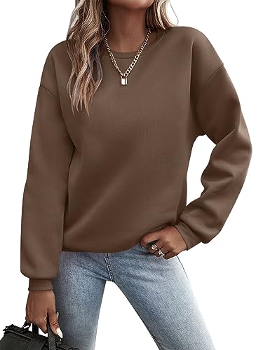 Minetom Pullover Damen Sweatshirt Einfarbige Langarm Rundhals Pulli Herbst Winter Frauen Locker Casual Oberteil Sport Streetwear Sweatshirts ohne Kapuze LangarmshirtB BraunM von Minetom