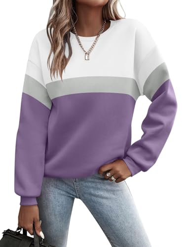 Minetom Pullover Damen Sweatshirt Farbblock Langarm Rundhals Pulli Herbst Winter Frauen Locker Casual Oberteil Sport Streetwear Sweatshirts ohne Kapuze Langarmshirt A Violett L von Minetom