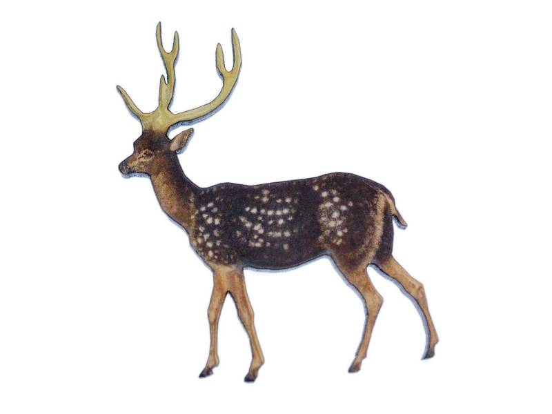 Damhirsch Reh Bedruckt Brosche Miniblings Anstecknadel Holz Tier Hirsch Jagd von Miniblings