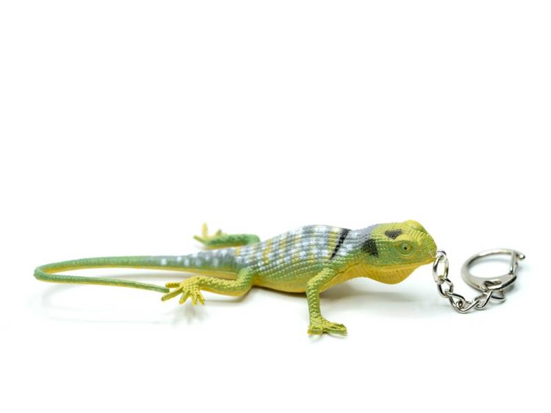 Gekko Schlüsselanhänger Anhänger Salamander Gecko Echse Eidechse Chamäleon von Miniblings