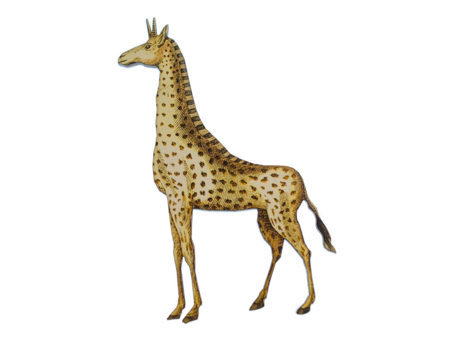 Giraffe Bedruckt Brosche Miniblings Anstecknadel Holz Tier Safari Afrika von Miniblings