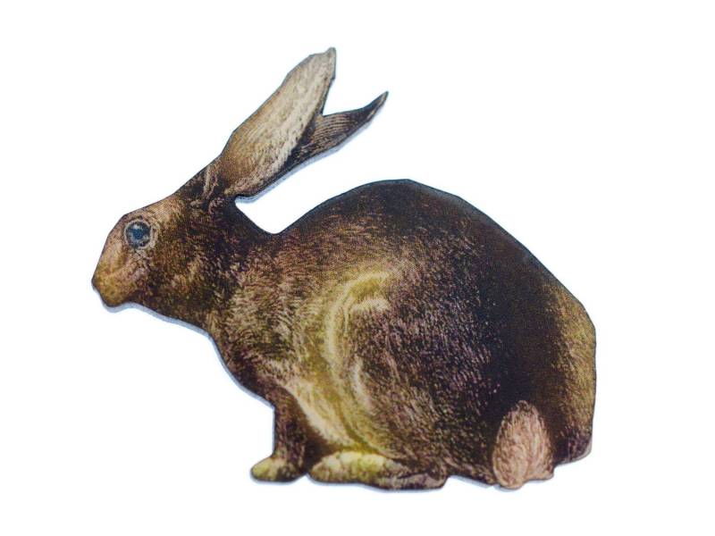 Hase Bedruckt Brosche Miniblings Anstecknadel Holz Tier Wald Wildtier Jagd von Miniblings