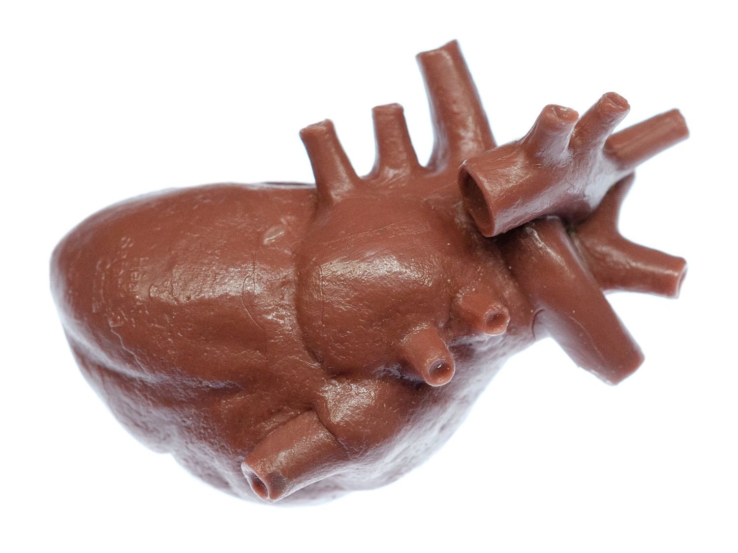 Herz Brosche Anstecknadel Miniblings Organ Anatomie Medizin Arzt Op Chirurg Rot von Miniblings