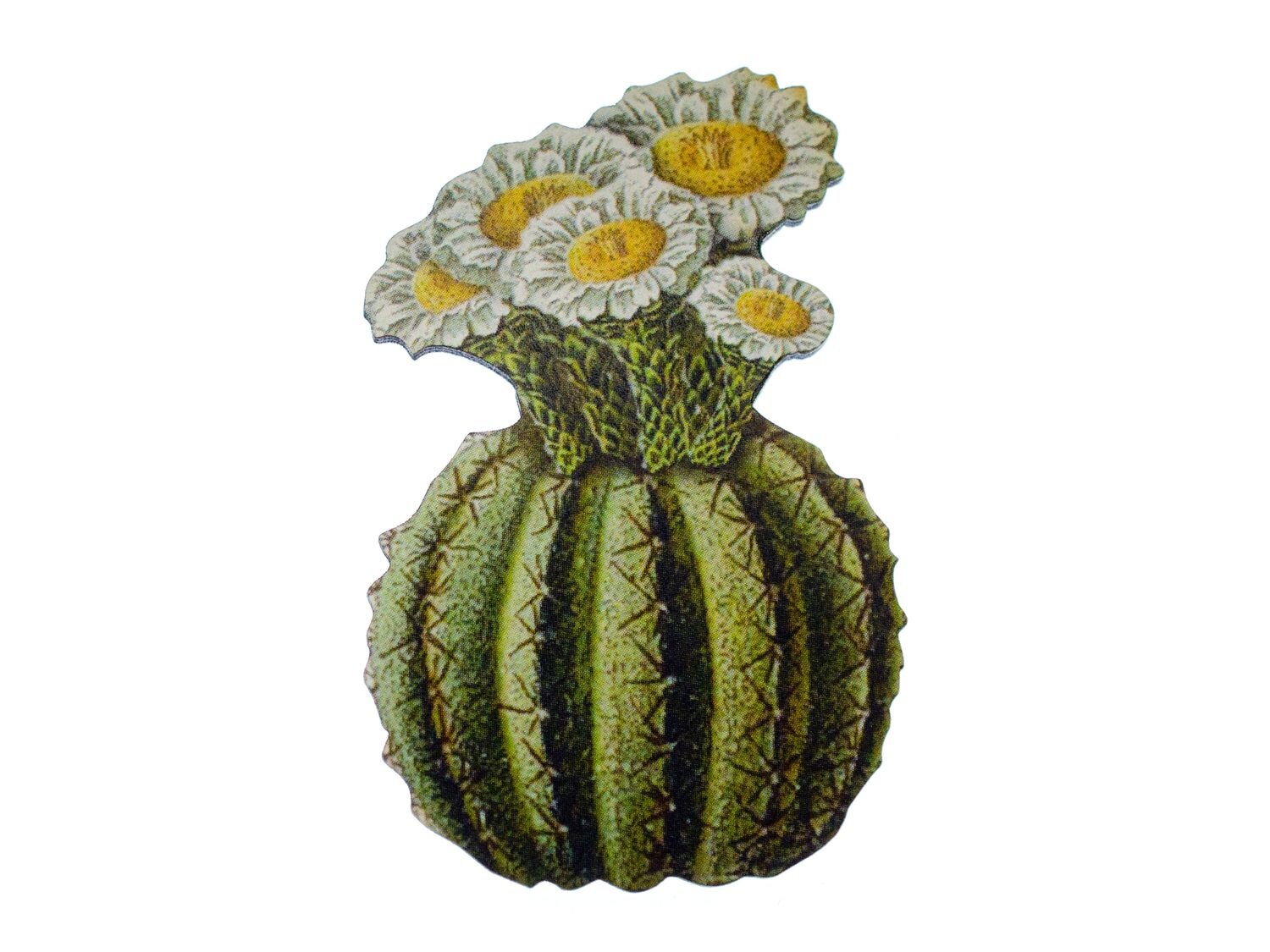 Kaktus Brosche Miniblings Blume Anstecknadel Wüste Pflanze Texas Western 1 von Miniblings