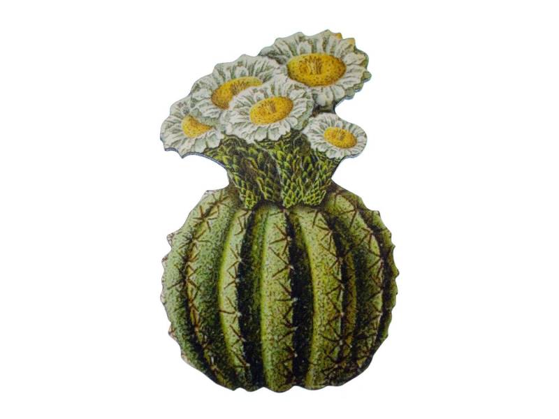 Kaktus Brosche Miniblings Blume Anstecknadel Wüste Pflanze Texas Western 1 von Miniblings