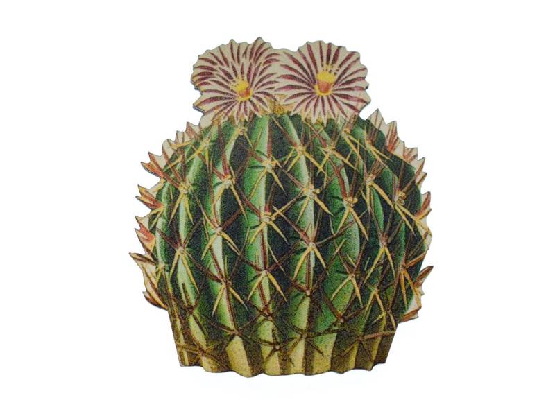Kaktus Brosche Miniblings Blume Anstecknadel Wüste Pflanze Texas Western 2 Kaktus Brosche Miniblings Blume Anstecknadel Wüste Pflanze Texas Western 2 von Miniblings