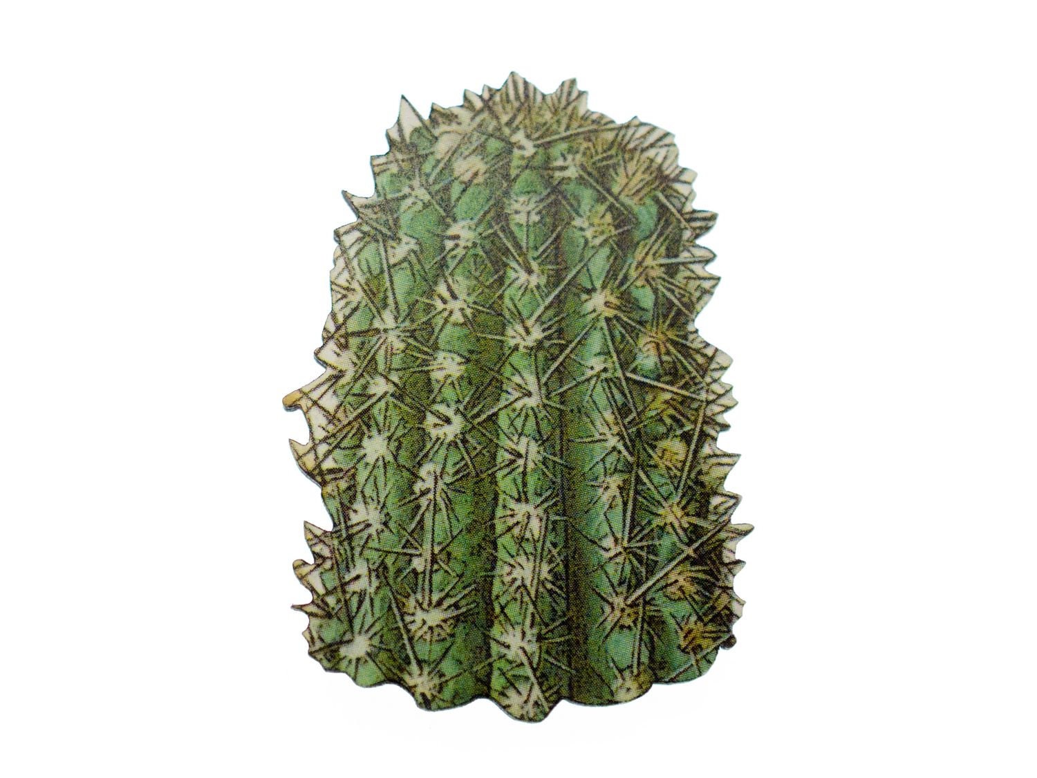 Kaktus Brosche Miniblings Blume Anstecknadel Wüste Pflanze Texas Western 5 Kaktus Brosche Miniblings Blume Anstecknadel Wüste Pflanze Texas Western 5 von Miniblings
